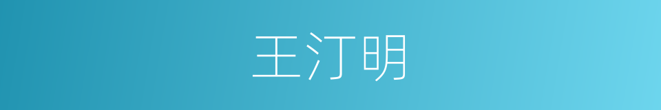 王汀明的同义词