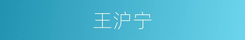 王沪宁的同义词