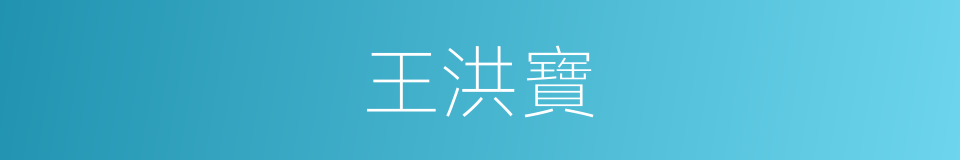 王洪寶的同義詞