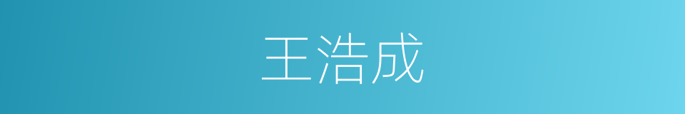 王浩成的同义词