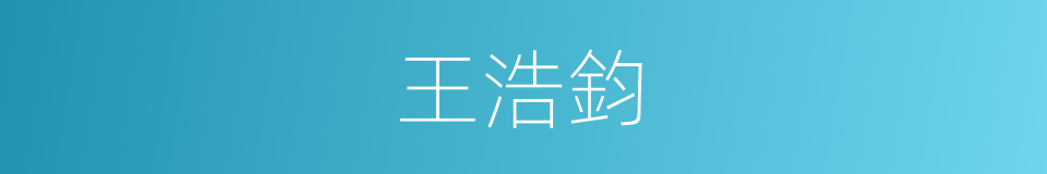 王浩鈞的同義詞