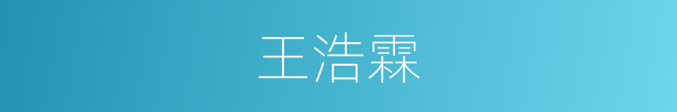 王浩霖的同义词