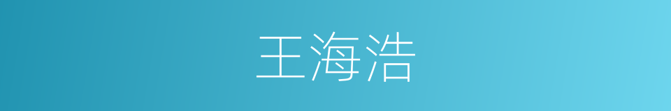 王海浩的同义词