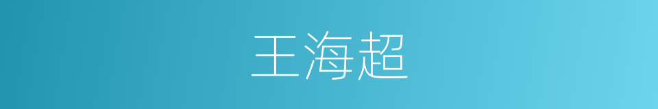 王海超的同义词