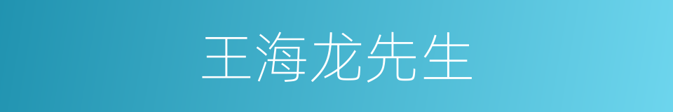 王海龙先生的同义词