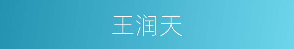 王润天的同义词