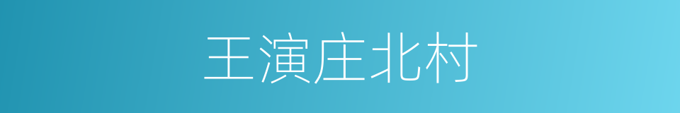 王演庄北村的同义词