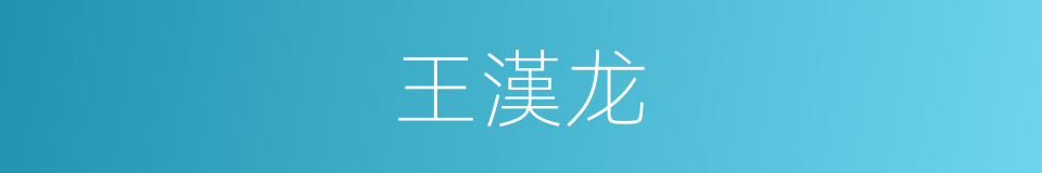 王漢龙的同義詞