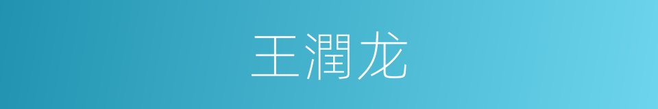 王潤龙的同義詞