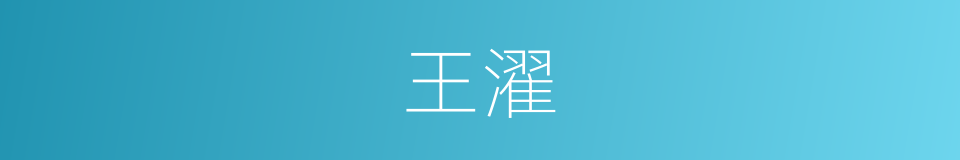王濯的意思