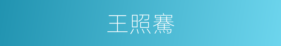 王照騫的同義詞