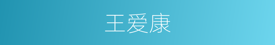 王爱康的同义词