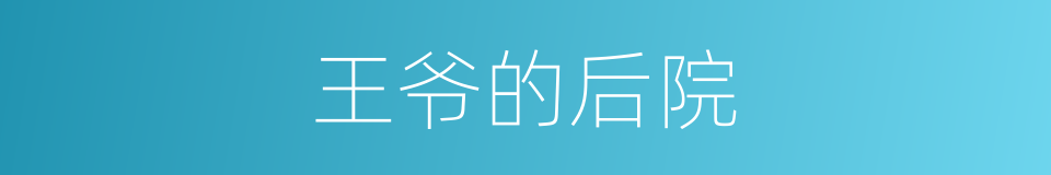 王爷的后院的同义词
