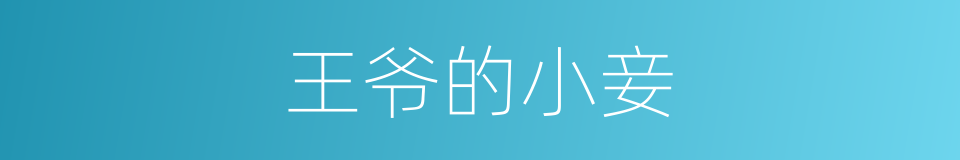 王爷的小妾的同义词