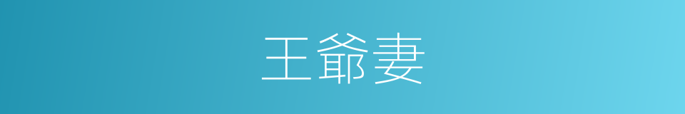 王爺妻的同義詞