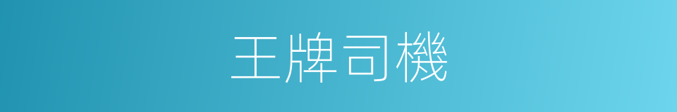 王牌司機的同義詞