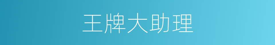 王牌大助理的同义词