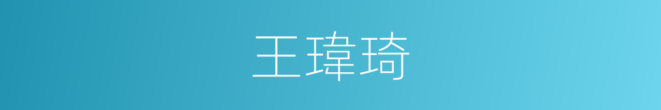 王瑋琦的同義詞