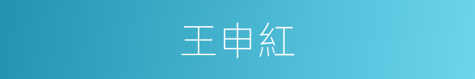 王申紅的同義詞