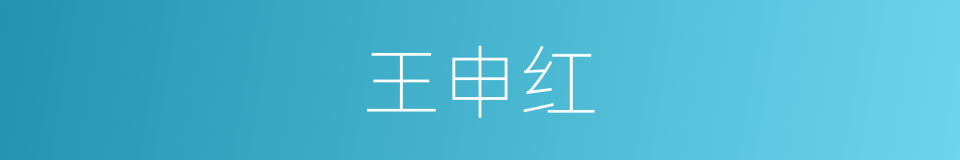 王申红的同义词