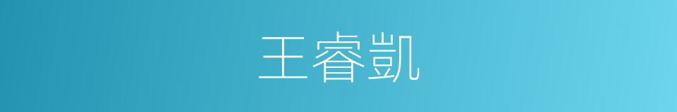 王睿凱的同義詞