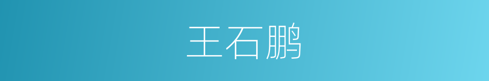 王石鹏的同义词