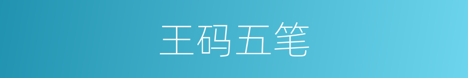王码五笔的同义词
