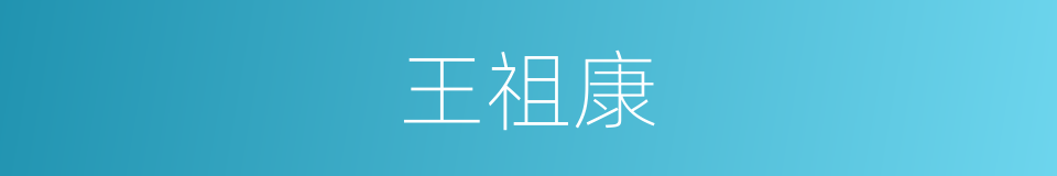 王祖康的同义词