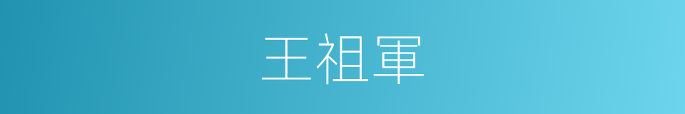 王祖軍的同義詞