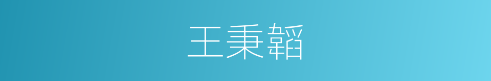 王秉韜的同義詞
