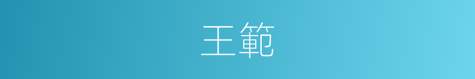 王範的意思