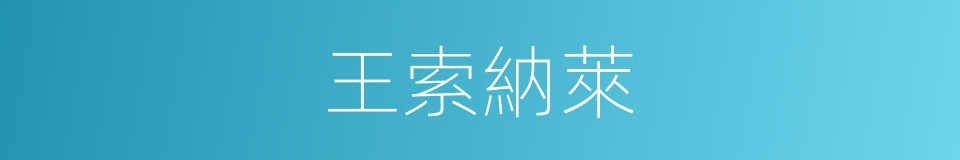 王索納萊的同義詞