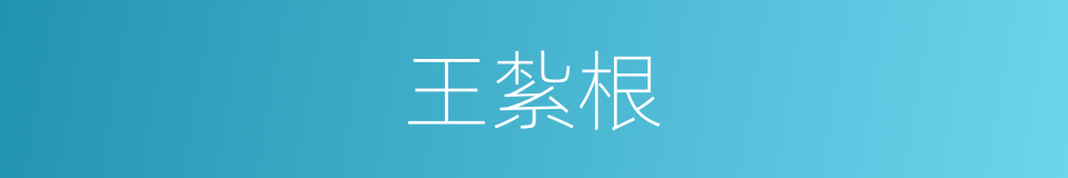 王紮根的同義詞