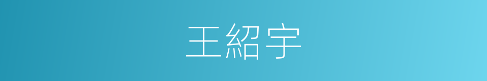 王紹宇的同義詞