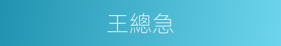 王總急的同義詞