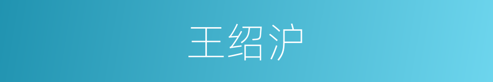 王绍沪的同义词