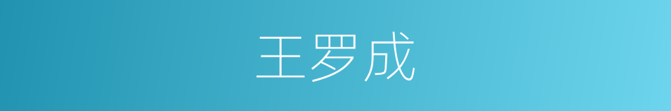 王罗成的同义词