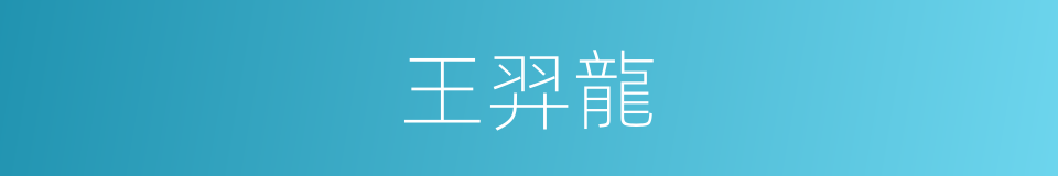 王羿龍的同義詞