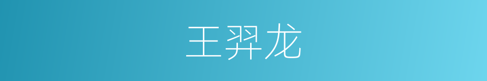 王羿龙的同义词