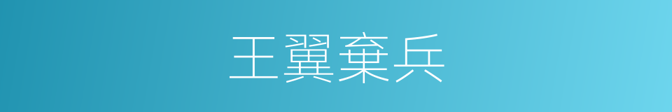 王翼棄兵的同義詞