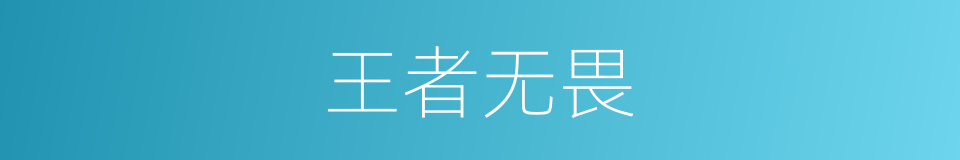 王者无畏的同义词