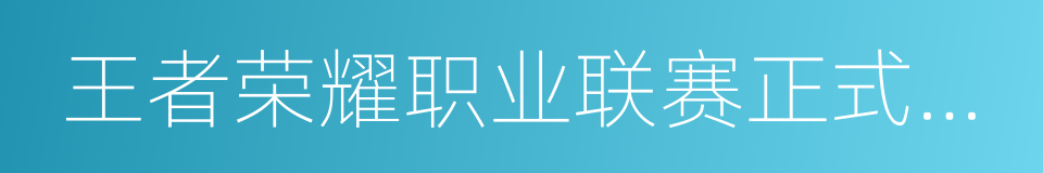 王者荣耀职业联赛正式规则的同义词