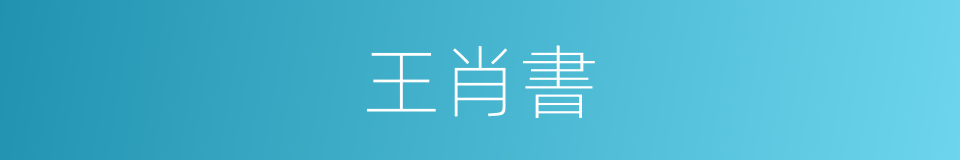 王肖書的同義詞