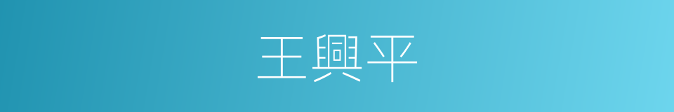 王興平的同義詞