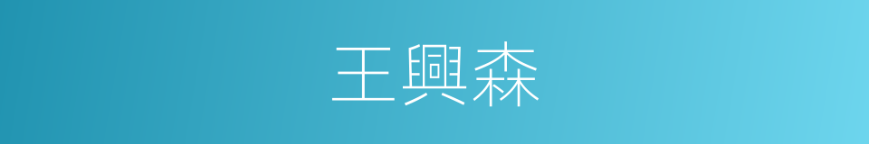 王興森的同義詞