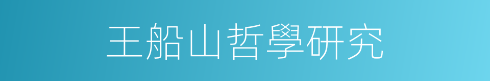 王船山哲學研究的同義詞