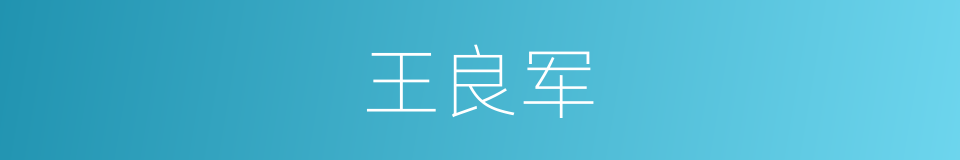 王良军的同义词