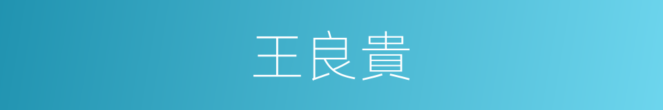 王良貴的同義詞