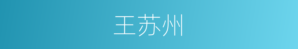 王苏州的同义词