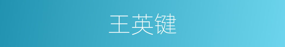 王英键的同义词